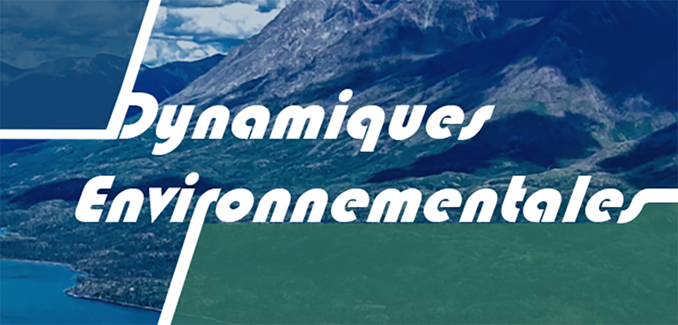 Logo de la revue Dynamiques environnementales
