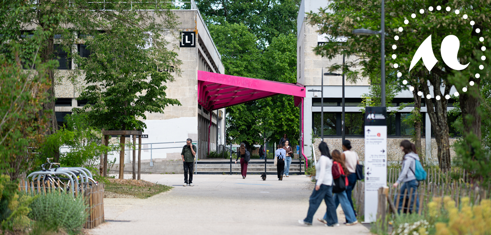 des &eacute;tudiants sur le campus Montaigne