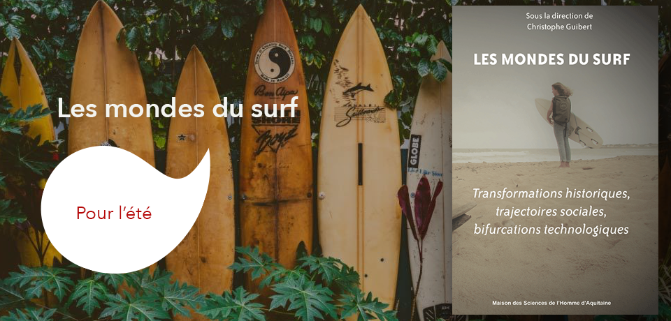 couverture de Les mondes du surf