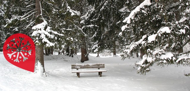 Sous la neige