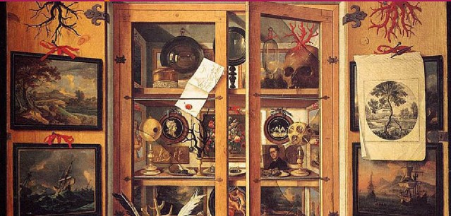 un cabinet de curiosités