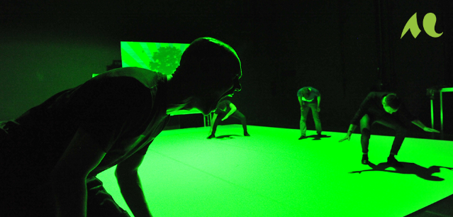 des danseurs sur scène pour une représentation