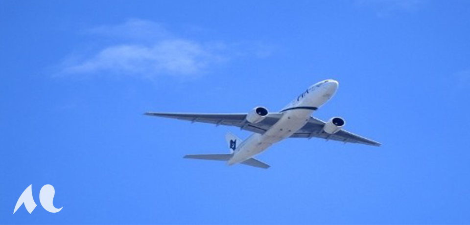 Avion en vol