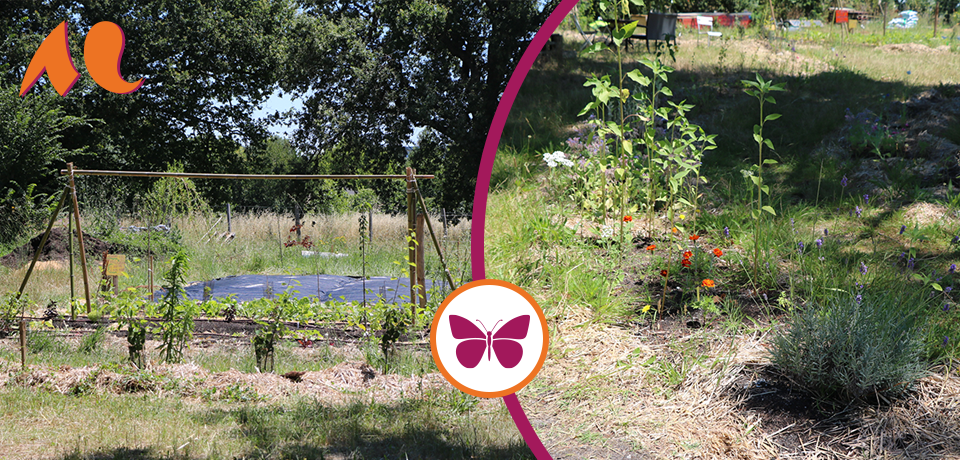 Photos des jardins partagés situés  sur la plaine de Bardanac