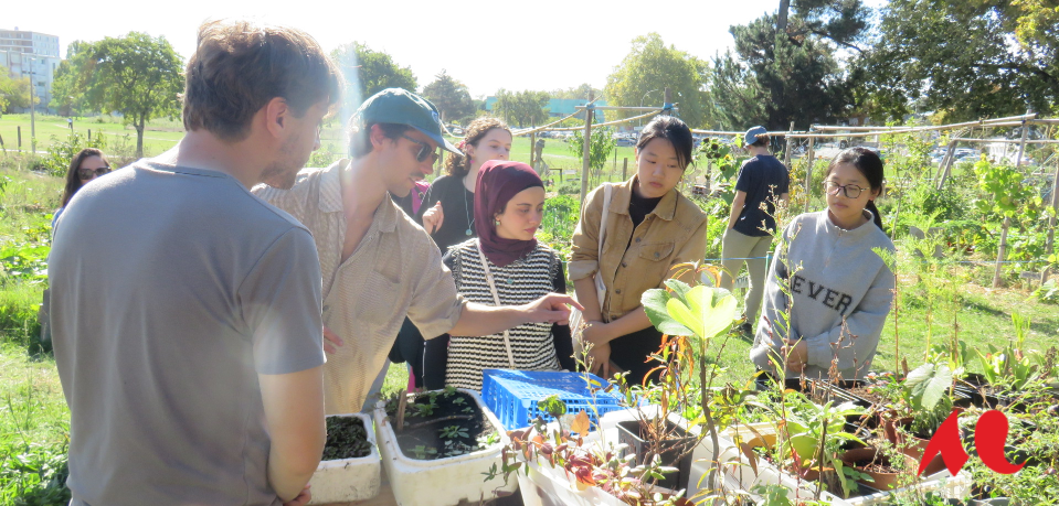 Etudiants dans le jardin universitaire