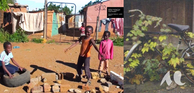 Photo d'enfants dans un bidonville jouxtant la photo d'un vélo.