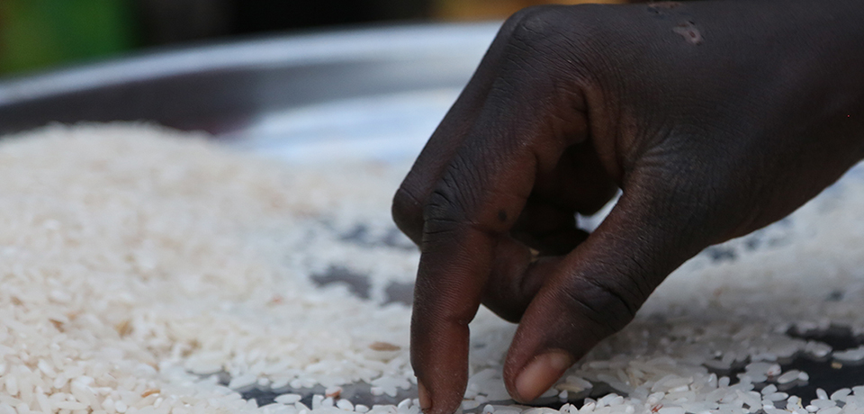 Main noire et riz blanc