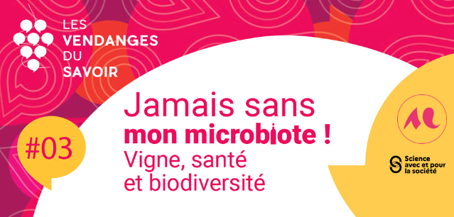 affiche-vendanges-savoir