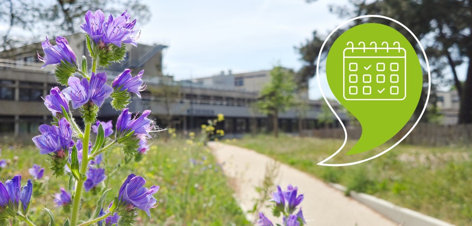 Chemin vers la biblioth&egrave;que Rigoberta Mench&uacute; - Campus Montaigne