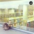 2015 - Le chat de la bibliothèque Lettres-Droit 