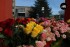 2017 - Des milliers de roses du Kenya envahissent la Maison de la recherche dans le cadre du projet de recherche "RosesMonde" 