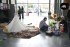 2005 - Exposition des étudiants à la Maison des Arts
