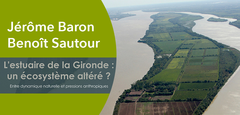 Photographie de  l'estuaire de la Gironde en vue aerienne.