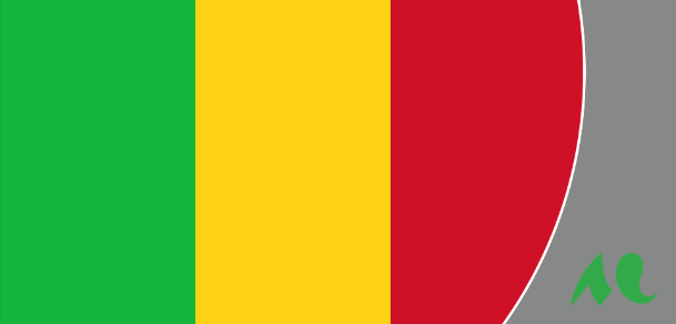 drapeaux Niger et Mali