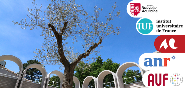 arbre de la maison de la recherche