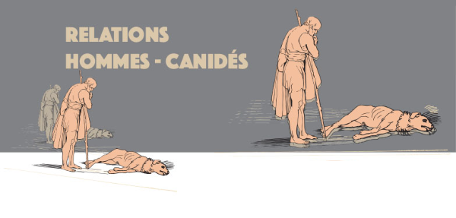 Relations Hommes - Canidés