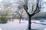 L'université sous la neige - Crédit : Service communication Bx3