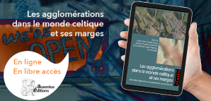 couverture de Les agglomérations dans le monde celtique et ses marges