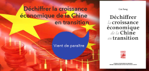 couverture de Déchiffrer la croissance économique de la Chine en transition