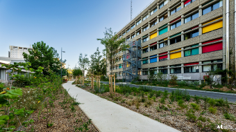 B&acirc;timent Rosa Bonheur-Universit&eacute; Bordeaux Montaigne-&copy;GAUTIER DUFAU.png