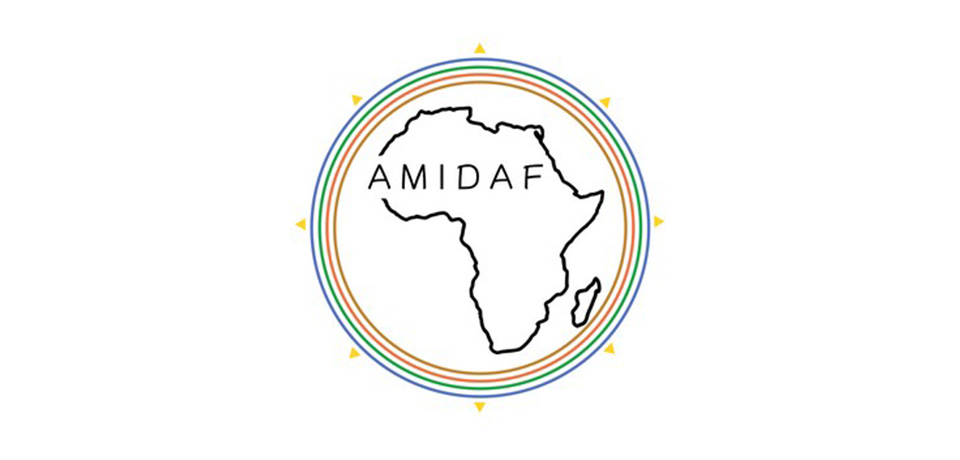 Association du Master Interdisciplinaire Dynamiques Africaines (AMIDAF)
