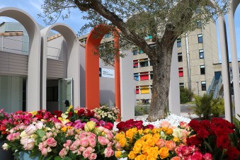Rosemonde_006-Maison-de-la-Recherche-Universite_Bordeaux_Montaigne.jpg